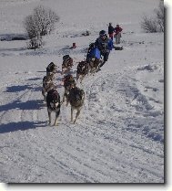 Mistrovství Evropy 2007