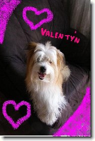 valentýn od Benečka