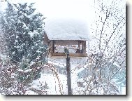 Zima u nás na zahradě