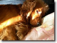 To máme krásný ráno