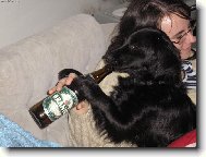 Náš Matouš alkoholik