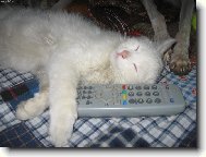 Dobrou,stejn tam nic nen