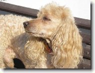 Jó sluníčko, to je moje