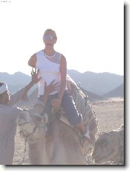 já jim říkala.že se velbloudů bojím!!