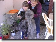 dvě kočičky a holčička