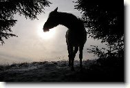 Proč to sluníčko tak málo hřeje.