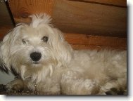 Co mě budite ze spánku!!!!!!