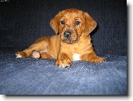 Naše malá princezna :-)