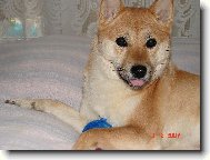 Všechny vás moc milujůůů!!!