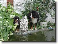 Agátka s kamarádem Benem