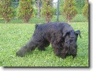 Quen při focení..........