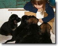 Pohádka na dobrou noc