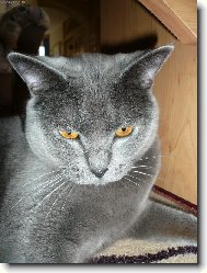 Tak teď usměv! Jedno foto na pas.