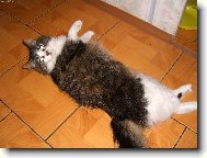 Co na mě tak divně koukáte?