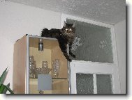 Náš Tedy v bezpečném úkrytu před dětmi