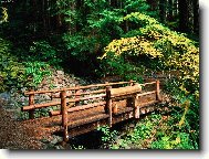 Co to tam dělají???