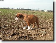 Tak si tu kráčím sám:o(