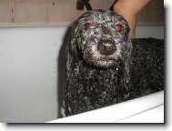 Nkdo se tu hrozn rd koupe