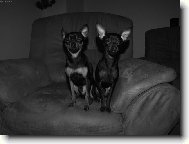 Usmívejte se prosím, vyletí ptáček