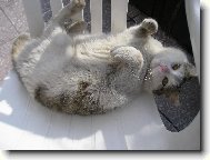 To je jen moje židle!