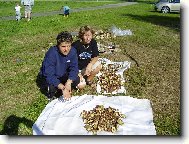 Houbařská nadílka jednoho dne