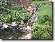 botanická zahrada v Praze