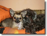 Tak tohle jsou naše zlatíčka :)