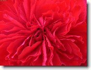 až oči přechází