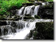 bystřina na Prašivé