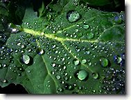 hezčí než drahokamy