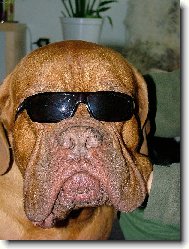 mám to pod kontrolou