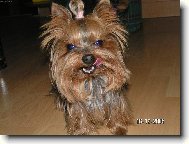 úsměv prosím :-))