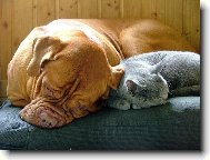 sdílíme společnou postel