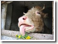 Mám hrozný hlad!!!!!!!