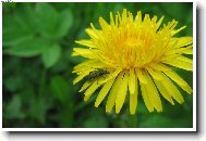 Tady se mi líbí!!!