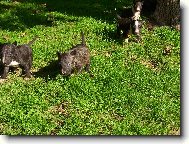 První výlet do přírody