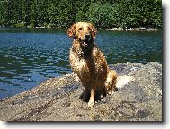 Naše Milovaná SIndy