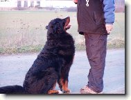 Achil z Opatovických luk