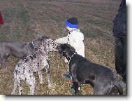 Na všechny se dostane