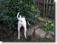 našli nebo nenašli