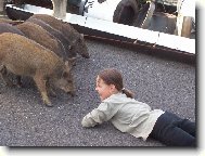 Odvážná Markétka