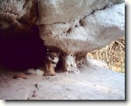 Co koukáte toje moje bydlení