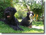 Elisa ze Staměřic a Betinka