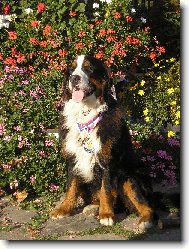 Argonath Valašské slunce