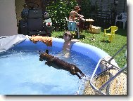 Sakra,zase placák,já se tu šipku snad nenaučím!!!