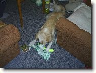 Tak co mi to ten Ježíšek letos naložil?