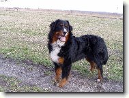 Achil z Opatovických luk