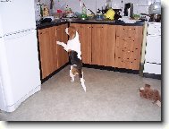 Už umím stát jako lidi hurááááá