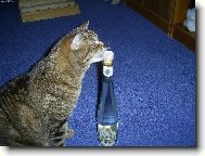 Taky si rád dám!!!