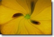 barevná abstrakce II